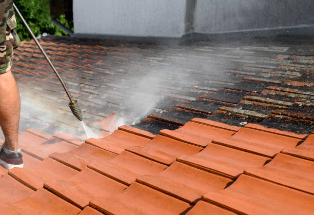 Best Exterior Home Cleaning  in Prairie Du Chien, WI